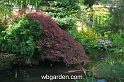 wbgarden spring 24